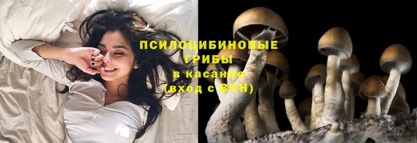 мет Мегион