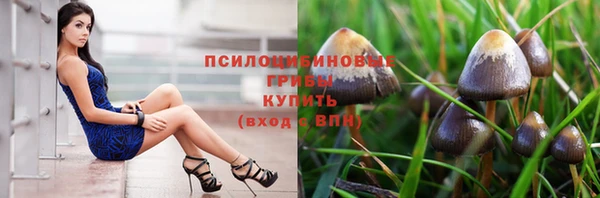 амф Михайловка