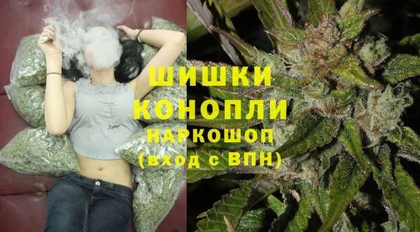 твердый Михайлов