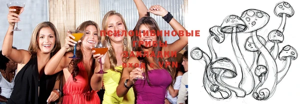 ALPHA-PVP Медвежьегорск