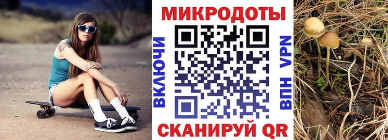 Галлюциногенные грибы мухоморы  купить   Шилка 